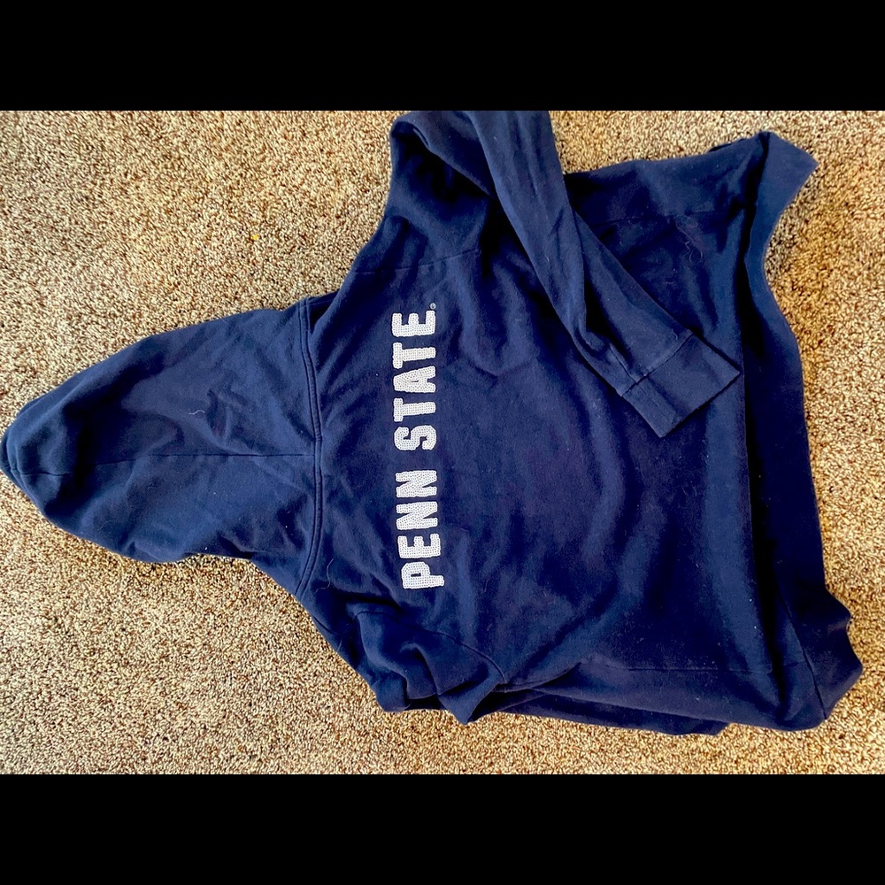 Pink Penn State Hoodie